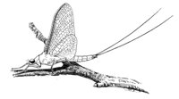 598742.jpg