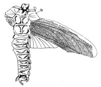 598732.jpg