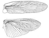 598726.jpg