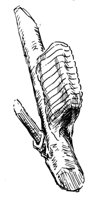 598712.jpg