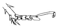 598630.jpg