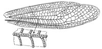 598626.jpg