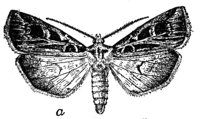 524524.jpg