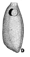 524412.jpg
