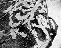 524240.jpg