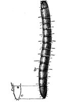 524190.jpg