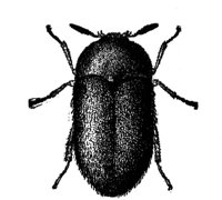 524180.jpg