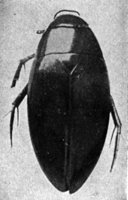 524166.jpg