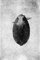 524164.jpg