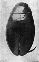 524162.jpg