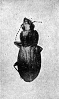 524154.jpg