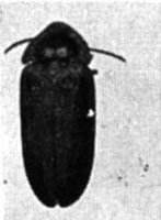 524150.jpg