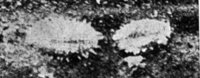 524138.jpg
