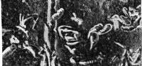 524124.jpg