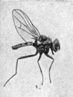 523580.jpg