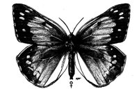523506.jpg