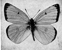 523504.jpg