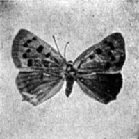 523494.jpg