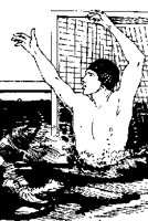 WPOLO.PCX