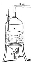 443304.jpg