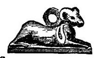 443216.jpg