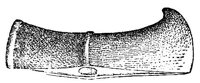 443170.jpg