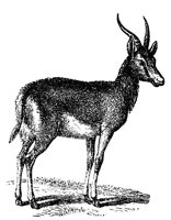 443150.jpg