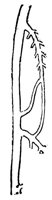 443094.jpg