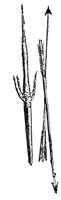 443066.jpg