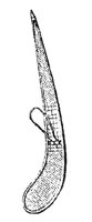 443064.jpg