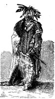 443050.jpg