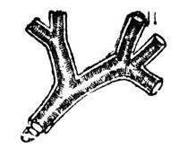 443044.jpg