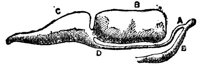 443040.jpg