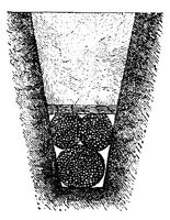 443030.jpg