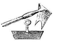 443020.jpg