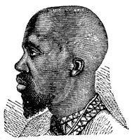 442940.jpg