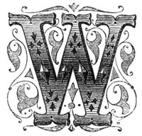 394543.jpg