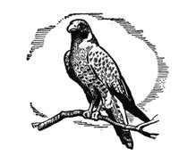 347907.jpg