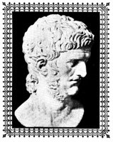 337161.jpg