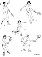 SET12.PCX