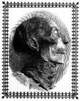 337081.jpg