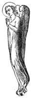 325907.jpg