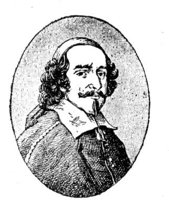254916.jpg
