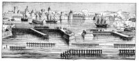 254904.jpg