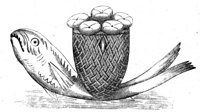 190500.jpg