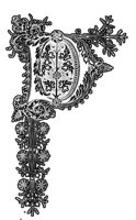 190472.jpg