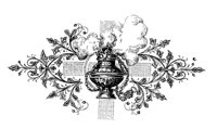 190466.jpg
