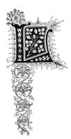 190436.jpg