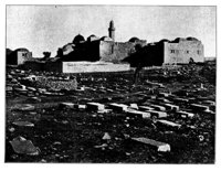 190396.jpg