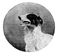 691873.jpg